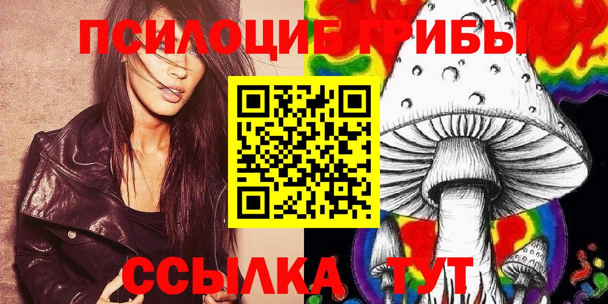Тула  Псилоцибиновые грибы мухоморы  купить закладку  Вход с VPN 