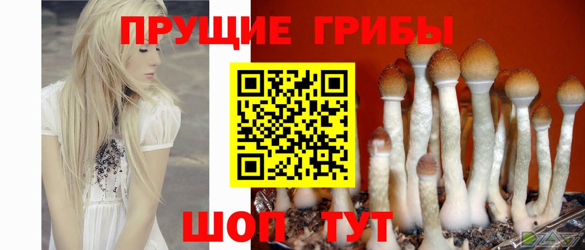 Псилоцибиновые грибы ЛСД Тула